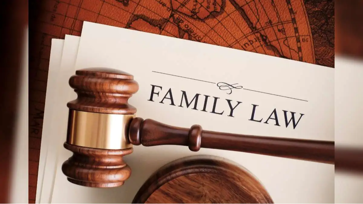 Family Case Lawyer